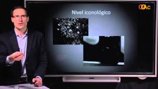 OOAc-ICV 3.5. Alumbramiento 3