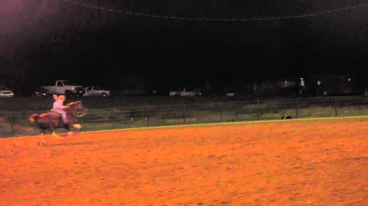 Jersey barrel racing