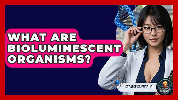 What Are Bioluminescent Organisms? - Strange Science HQ
