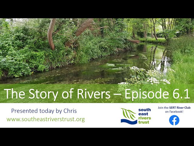 The Story of Rivers - Fish Passage - Episode 6.1