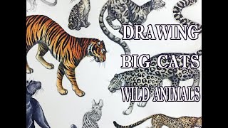 PAINTING BIG CATS & FELINES l Wild Animals Drawing and watercolor l Tiger leopard cheetah panther