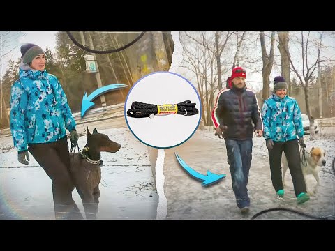 ПОВОДОК-ОШЕЙНИК "КОНТРОЛЛЕР"Доберман и Алабай