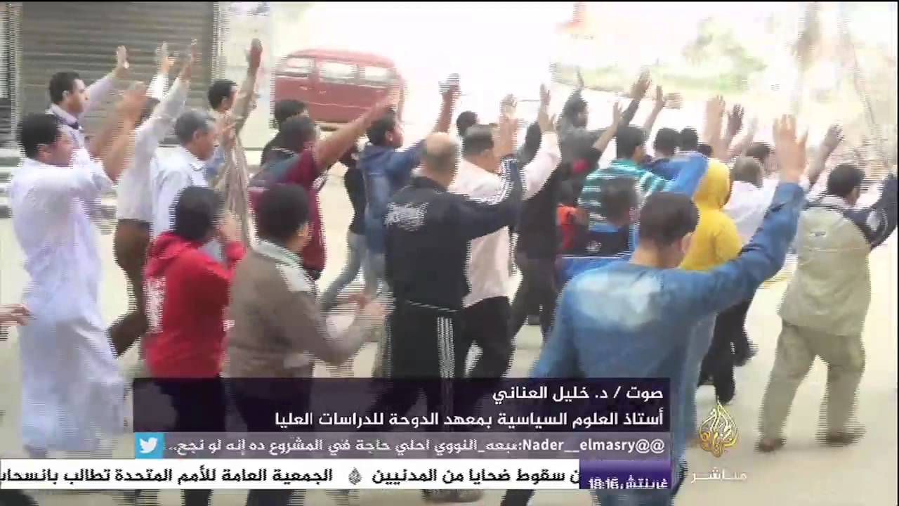 أستاذ في العلوم السياسية : ما تقوم به جماعة الإخوان في مصر تنفيس عن الغضب وليس حراكا ثوريا