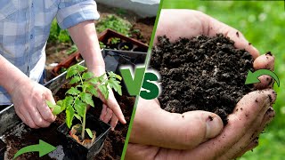Planter Mix vs Topsoil - Best Soil for Your Plants? [2024]