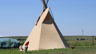 Buffalo Tipi Raising