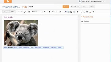 Adding Pictures, Videos, and Links into Blogger pages