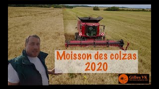 Moisson des colzas : c’est pas bon mais surprise à la fin !