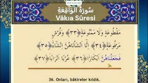 Mehmet Emin AY //Al Waqiah (056) سُورَةُ الْوَاقِعَةِ القارئ محمد امين آي