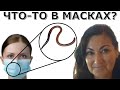 Червяки в масках? Откуда они берутся? Опасно ли это? Идеальная пара #457