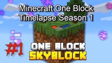 Minecraft One Block Timelapse Season 1 Episode 1