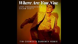 ⭐Lost Frequencies, Calum Scott - Where Are You Now
