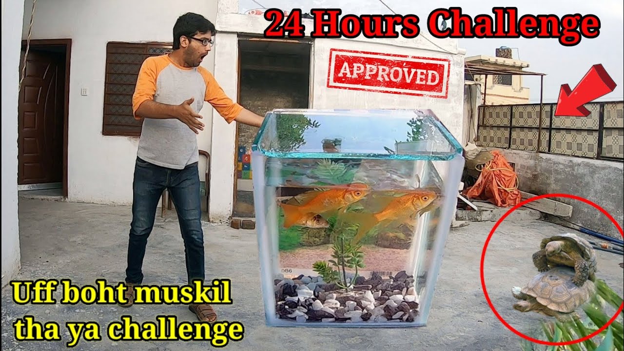 Make world most Unique Fish Aquarium in 24 Hours Challenge ! ye kya ho