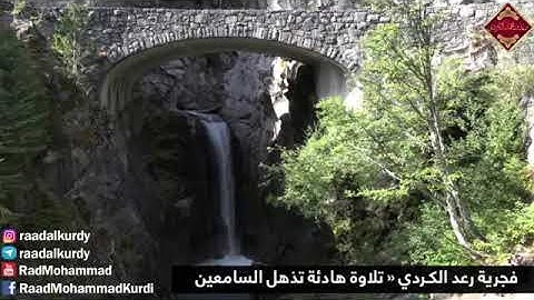 قراءة ما تيسر من سورة مريم _ فجرية القارئ رعد الكردي