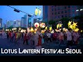 Lotus Lantern Festival Fun