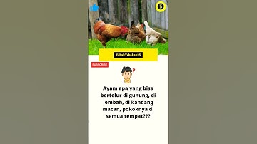 TEKA TEKI | TEBAK TEBAKAN |  AYAM