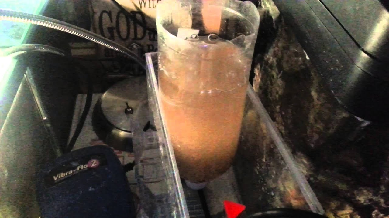 How to raise baby clowns pt.2 