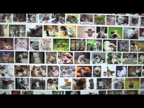 5 Cashback Commercial Spoof