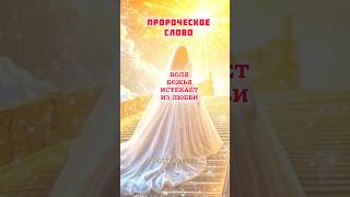ПРОРОЧЕСКОЕ СЛОВО: ВОЛЯ БОЖЬЯ ИСТЕКАЕТ ИЗ ЛЮБВИ…