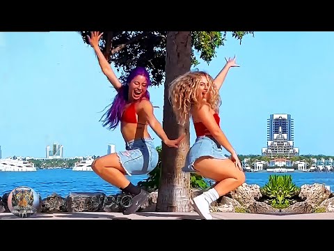 Dj Bobo - Love Is All Around Shuffle Dance Video