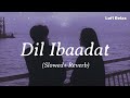 Dil Ibadat Kar Raha Hai 🫂|| Slowed+Reverb ||