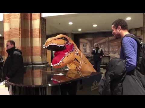 Video: Il Dinosauro Rimane Colmato Un Divario Evolutivo - Visualizzazione Alternativa