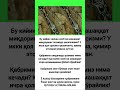 kanalimiz rivoji uchun obuna boʻling #hikmatlar#obuna#tiktok#rek#shorts#top  #memes