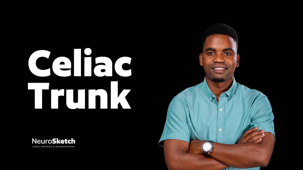 Celiac Trunk: Left Gastric, Splenic & Common Hepatic Arteries