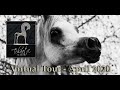 Tchaata Arabians' Virtual Tour - April 2020