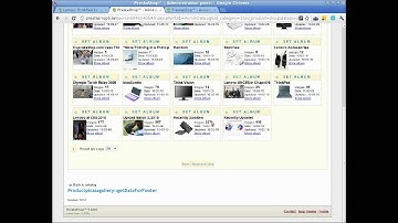 Picasa Gallery for products v. 2.4