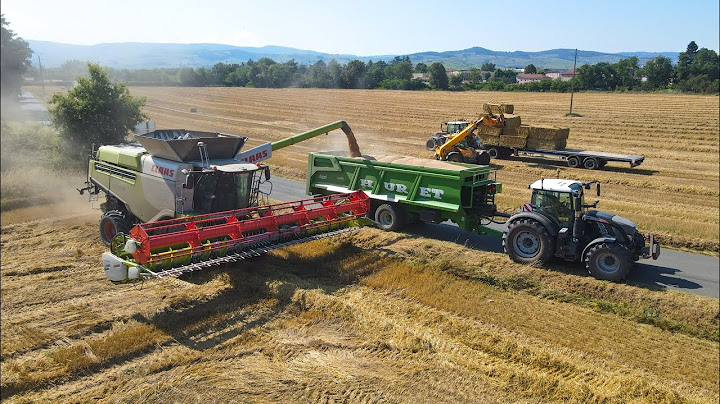 UNE JOURNEE AU MOISSON 2024 CHEZ AGRIDURAND // LEXION 780 & 5X FENDT //