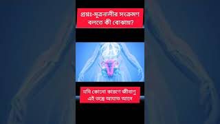 মূত্রনালী ইনফেকশন | মূত্রনালী ইনফেকশন বলতে কী বুঝায় | shorts urinal