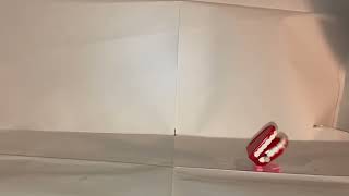 Wind Up Chattering Teeth Clip Compilation
