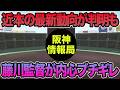【下村が遂に1軍で動く..】藤川監督が明らかにブチ切れてる件について.. 近本の最新動向判明の広島戦を徹底解説【阪神タイガース】