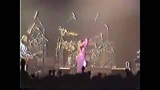 View Genesis Concert Highlights – Pro Shot Clips from 1982 Toronto Performance
