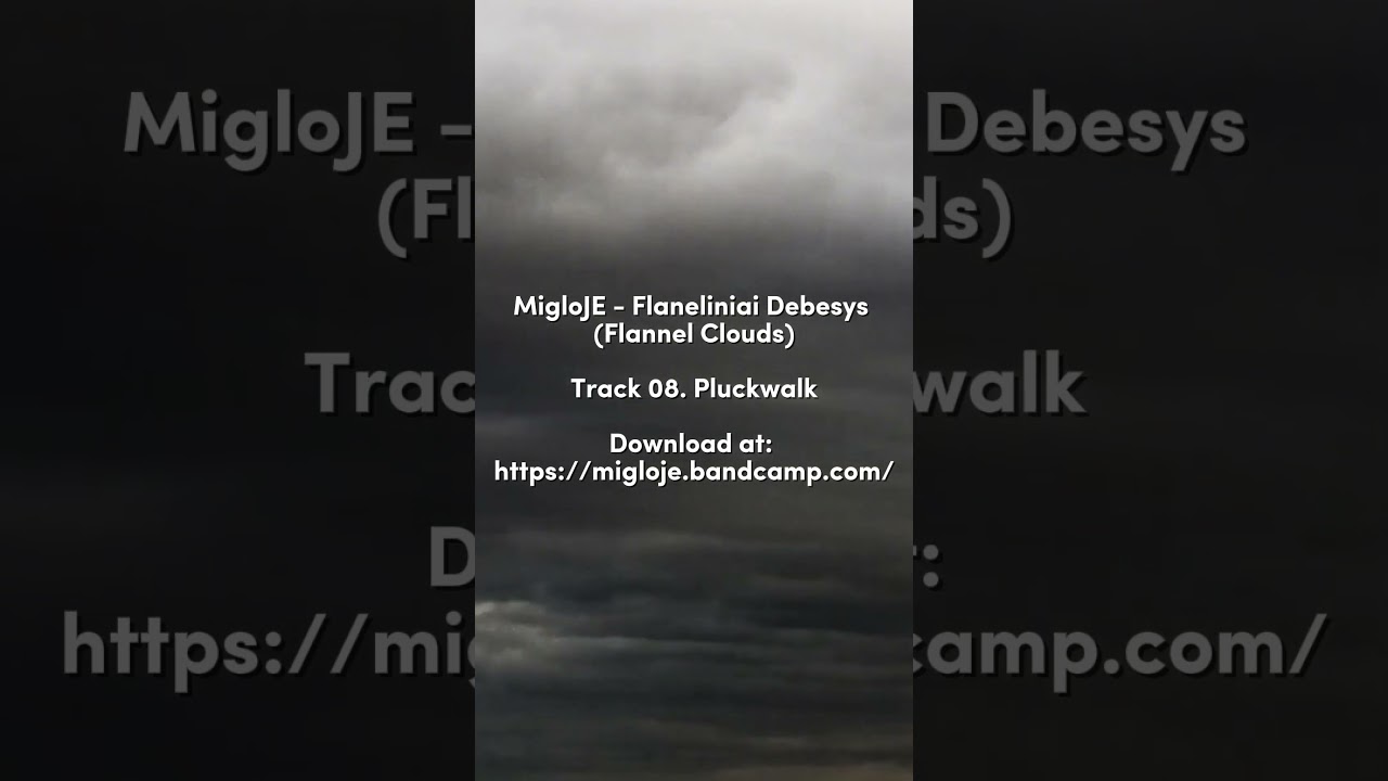 migloJE - Flaneliniai Debesys (track08) Pluckwalk