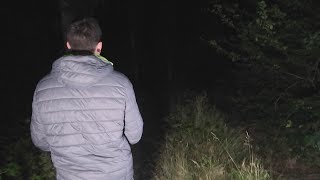 Screaming Forest ( SCARY ) Screaming Forest ( SCARY )
