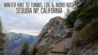 Sequoia National Park Winter Hike to Tunnel Log & Moro Rock | California (4K)