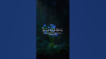 و ما الحياة الدنيا إلا لعب و لهو 🌿ما تيسر من سورة الأنعام 🌿للقارئ شريف مصطفى 🌿