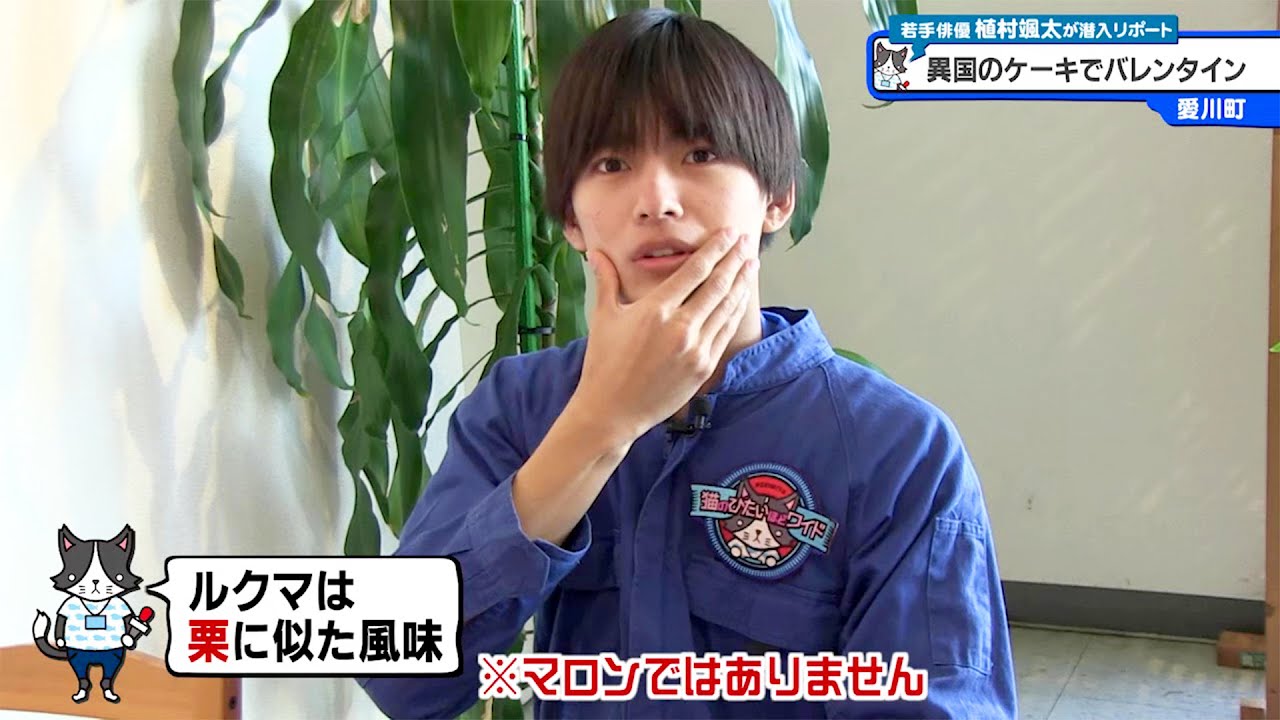 猫のひたいほどワイド #1191 潜入リポート・植村颯太「あまーいあまー