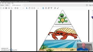 ED482 Portfolio with Examples