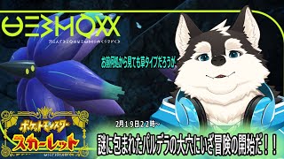 【ゲーム配信】謎が多いこの世界でさらなる冒険求めて大穴にレッツゴー
