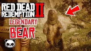 How To Hunt A Legendary Bear | Red Dead Redemption 2