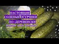 НАСТОЯЩИЕ СОЛЕНЫЕ ОГУРЦЫ ПО-ДЕРЕВЕНСКИ. РЕЦЕПТ МОЕЙ БАБУШКИ.