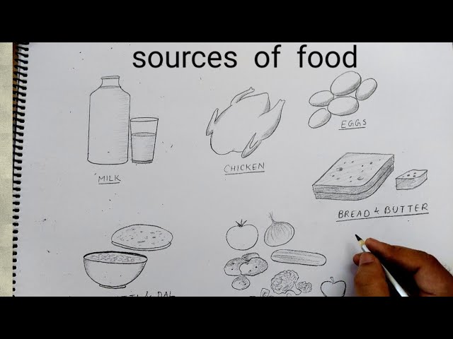 14 Food sketch ideas  food sketch food food painting