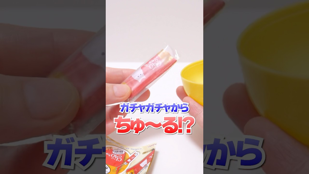 CIAO Churu | Cat Food Gashapon ちゅ～る #Shorts #ガチャガチャ #猫