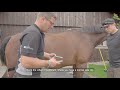 Hoof Mapping with Christoph Müller