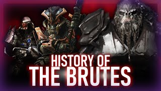 The History of Halo