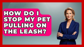 How Do I Stop My Pet Pulling On The Leash? - PetGuide360.com