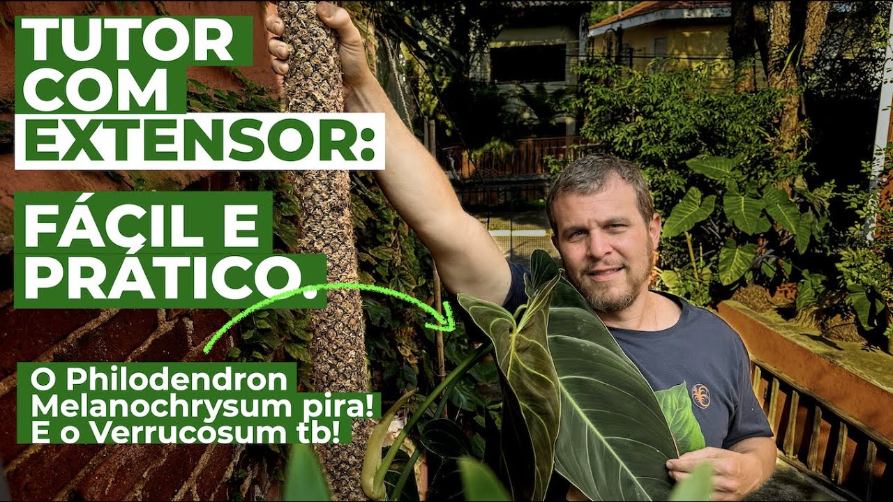 Faça seu TUTOR para Araceae com EXTENSOR que vai levar suas plantas para o melhor cultivo.