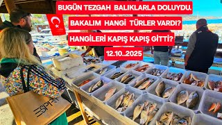 Karaburun Balik Mezati 12.10.2025 Yatay Çeki̇m